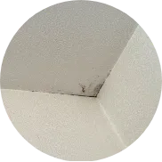 屋根裏が湿っている・カビ臭い