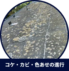 コケ・カビ・色あせの進行