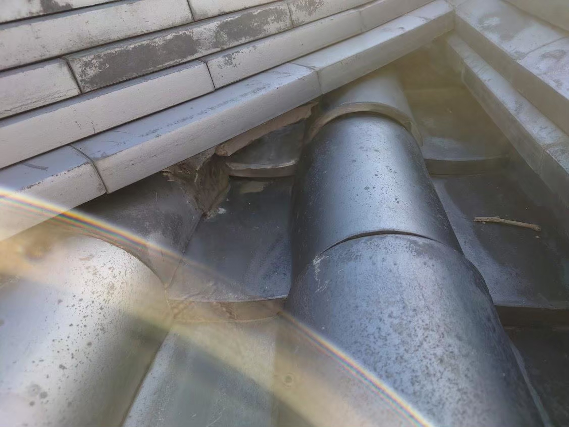 鹿児島県志布志市にて雨漏り修理〈お寺の瓦屋根補修工事〉の施工前写真